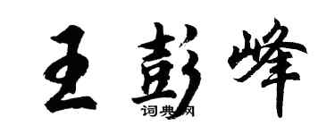 胡问遂王彭峰行书个性签名怎么写