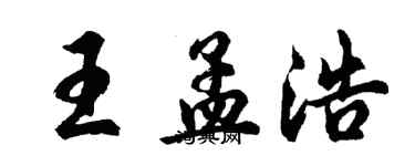 胡问遂王孟浩行书个性签名怎么写