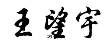 胡问遂王望宇行书个性签名怎么写