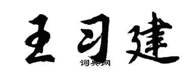 胡问遂王习建行书个性签名怎么写