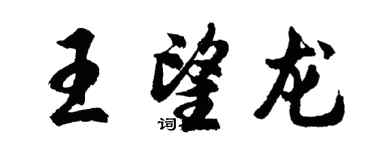 胡问遂王望龙行书个性签名怎么写