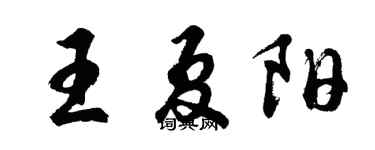 胡问遂王夏阳行书个性签名怎么写