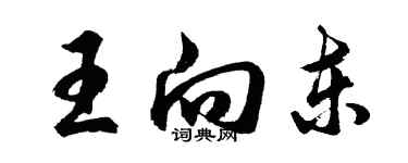 胡问遂王向东行书个性签名怎么写