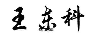 胡问遂王东科行书个性签名怎么写