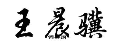 胡问遂王晨骥行书个性签名怎么写