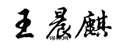 胡问遂王晨麒行书个性签名怎么写
