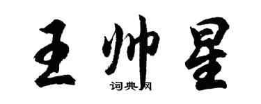 胡问遂王帅星行书个性签名怎么写