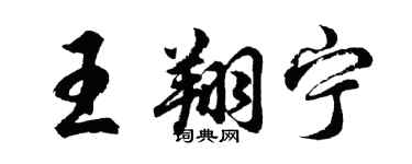 胡问遂王翔宁行书个性签名怎么写