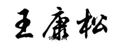 胡问遂王康松行书个性签名怎么写