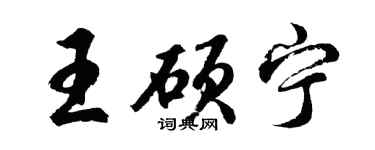 胡问遂王硕宁行书个性签名怎么写