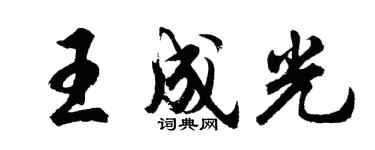 胡问遂王成光行书个性签名怎么写