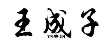 胡问遂王成子行书个性签名怎么写
