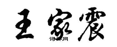 胡问遂王家震行书个性签名怎么写