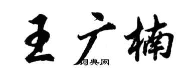 胡问遂王广楠行书个性签名怎么写