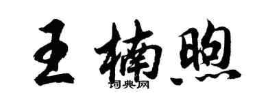 胡问遂王楠煦行书个性签名怎么写