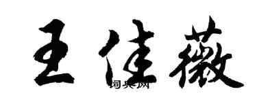 胡问遂王佳薇行书个性签名怎么写