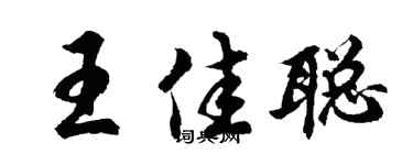 胡问遂王佳聪行书个性签名怎么写