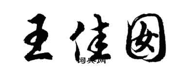 胡问遂王佳囡行书个性签名怎么写