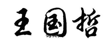 胡问遂王国哲行书个性签名怎么写