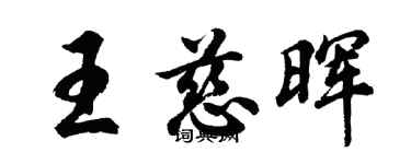 胡问遂王慈晖行书个性签名怎么写