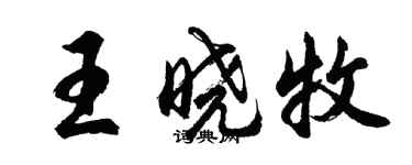 胡问遂王晓牧行书个性签名怎么写