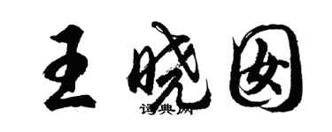 胡问遂王晓囡行书个性签名怎么写