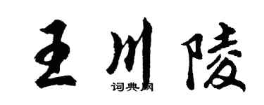 胡问遂王川陵行书个性签名怎么写