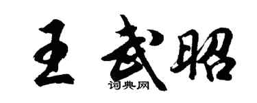 胡问遂王武昭行书个性签名怎么写