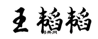 胡问遂王韬韬行书个性签名怎么写