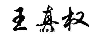 胡问遂王真权行书个性签名怎么写