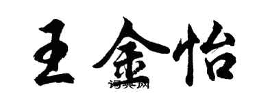 胡问遂王金怡行书个性签名怎么写