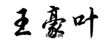 胡问遂王豪叶行书个性签名怎么写