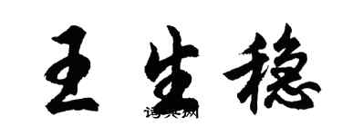 胡问遂王生稳行书个性签名怎么写