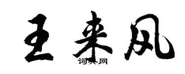 胡问遂王来风行书个性签名怎么写