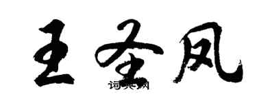 胡问遂王圣凤行书个性签名怎么写