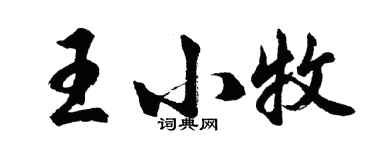 胡问遂王小牧行书个性签名怎么写