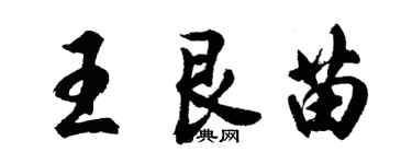 胡问遂王艮苗行书个性签名怎么写