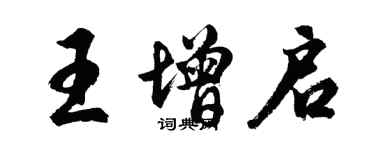 胡问遂王增启行书个性签名怎么写