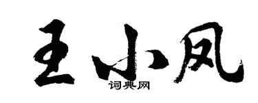 胡问遂王小凤行书个性签名怎么写