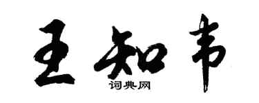 胡问遂王知韦行书个性签名怎么写
