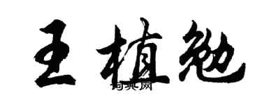 胡问遂王植勉行书个性签名怎么写