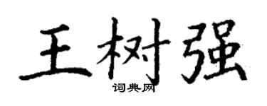 丁谦王树强楷书个性签名怎么写