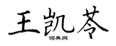 丁谦王凯苓楷书个性签名怎么写