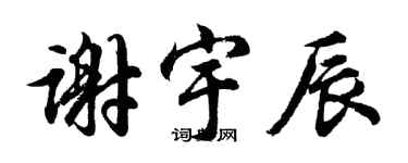 胡问遂谢宇辰行书个性签名怎么写