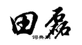 胡问遂田磊行书个性签名怎么写