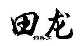 胡问遂田龙行书个性签名怎么写