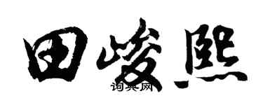 胡问遂田峻熙行书个性签名怎么写