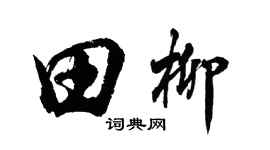 胡问遂田柳行书个性签名怎么写