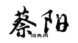 胡问遂蔡阳行书个性签名怎么写