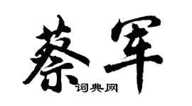 胡问遂蔡军行书个性签名怎么写